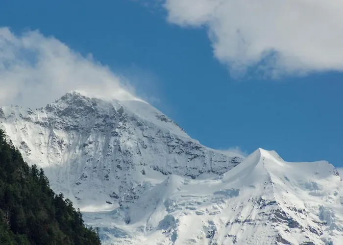 Appartement Oldswisshome *